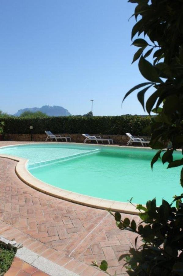 Appartamento Nespolo